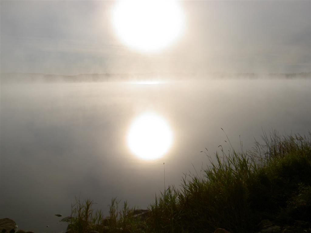1011x754 pixels (43K)